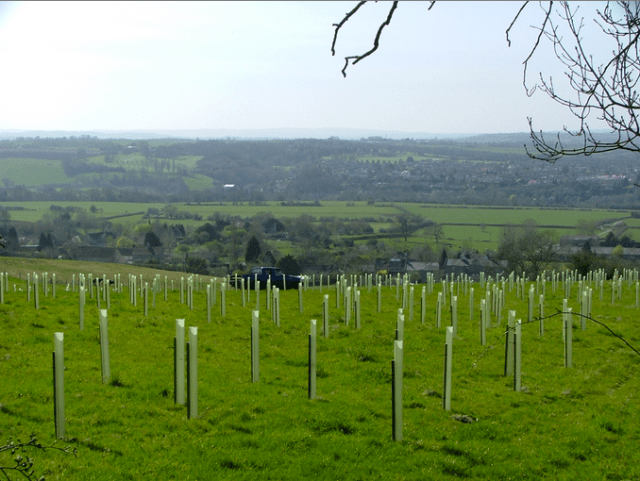 New root trainers in Barrow's Style 28 March 2012