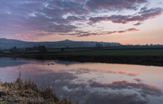 timroundhillprettyinpink